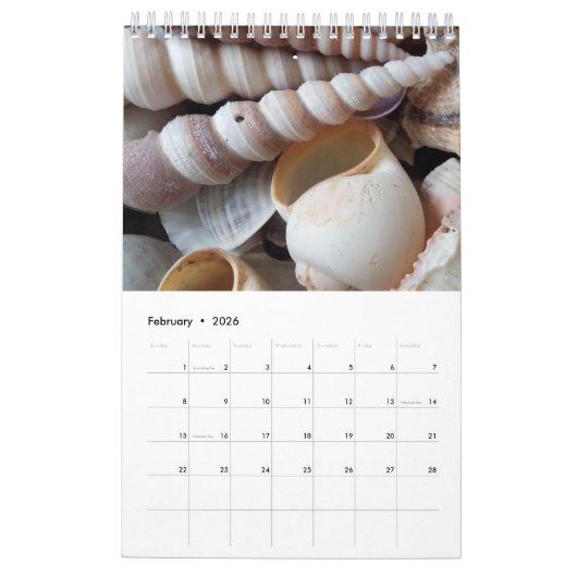 Calendrier Sea Shells 2017 Exotic Tropical Romanti (Feb 2026)