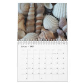 Calendrier Sea Shells 2017 Exotic Tropical Romanti (Jan 2027)