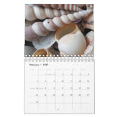 Calendrier Sea Shells 2017 Exotic Tropical Romanti (Feb 2027)
