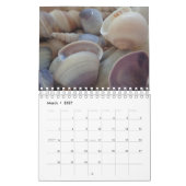 Calendrier Sea Shells 2017 Exotic Tropical Romanti (Mar 2027)