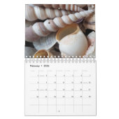 Calendrier Sea Shells 2017 Exotic Tropical Romanti (Feb 2026)