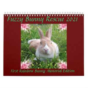 Calendrier Secourt de Bunny 2021