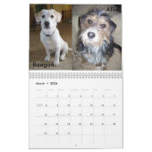 Calendrier Secourt Fluffy Dog (Mar 2026)