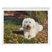 Calendrier Secourt Fluffy Dog (Protection)