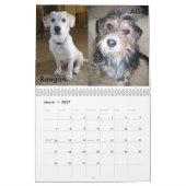 Calendrier Secourt Fluffy Dog (Mar 2027)