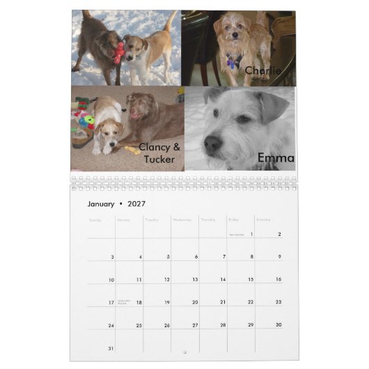 Calendrier Secourt Fluffy Dog (Jan 2027)