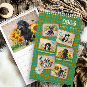 Calendrier semestriel Chiens dans les fleurs