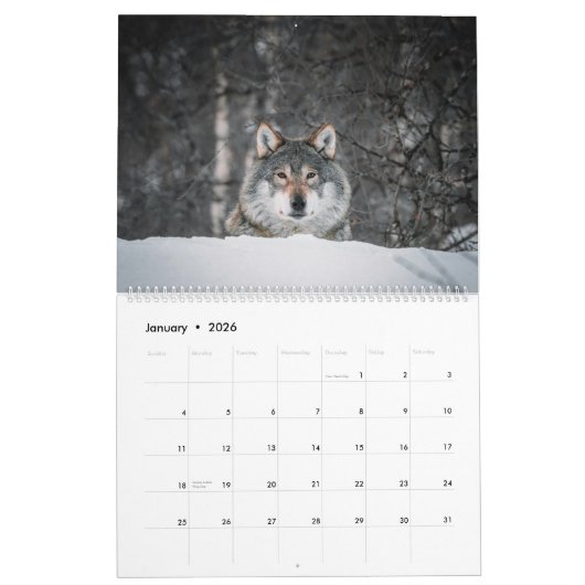 Calendrier Serene Wolves (Jan 2026)