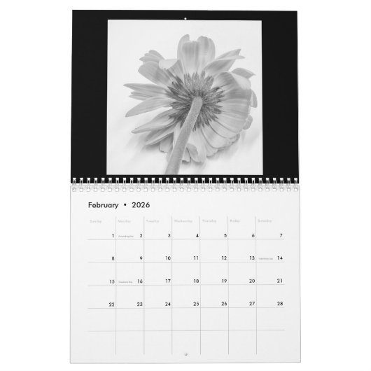 Calendrier Serenity 12 mois (Feb 2026)