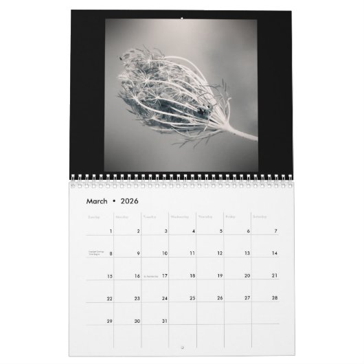 Calendrier Serenity: Black and White Photos Calendar (Mar 2026)