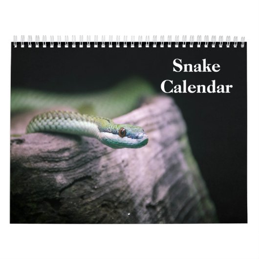 Calendrier Serpent 2026 (Protection)