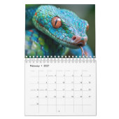 Calendrier Serpent 2027 (Feb 2027)