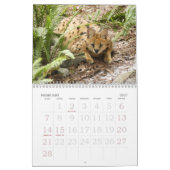 Calendrier serval 017, Serval (Feb 2027)