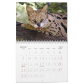 Calendrier serval 017, Serval (Mar 2027)