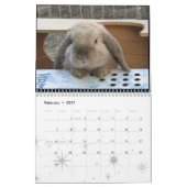 Calendrier Services animaux d'Oakland - 2010 (Feb 2027)