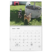 Calendrier Services animaux d'Oakland - 2010 (Mar 2027)