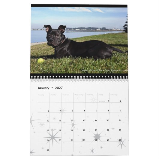 Calendrier Services animaux d'Oakland - 2010 (Jan 2027)