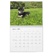 Calendrier SFShiba 2026 (Mar 2027)