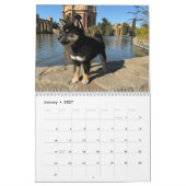 Calendrier SFShiba 2026 (Jan 2027)