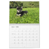 Calendrier SFShiba 2026 Calendar (Mar 2026)