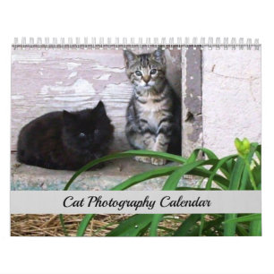 Calendrier Sgolis Original Cat Photographie
