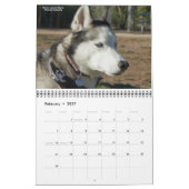 Calendrier SHAAZ 2012 (Feb 2027)