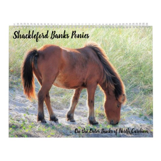 Calendrier Shackleford Banks Poney (Protection)