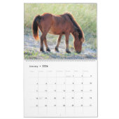 Calendrier Shackleford Banks Poney (Jan 2026)