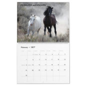 Calendrier Shades of Gray Sand Wash Basin, Colorado (Feb 2027)