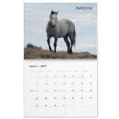 Calendrier Shades of Gray Sand Wash Basin, Colorado (Mar 2027)