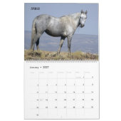 Calendrier Shades of Gray Sand Wash Basin, Colorado (Jan 2027)