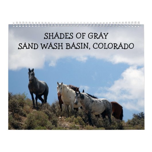 Calendrier Shades of Gray Sand Wash Basin, Colorado (Protection)