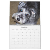 Calendrier sHAMUS doux par le dayZ (Mar 2027)