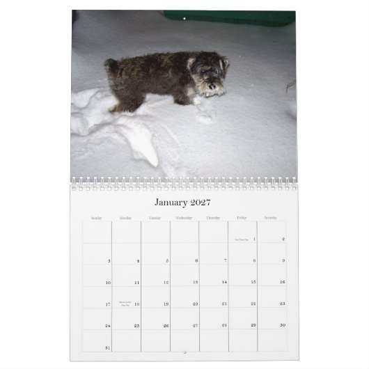 Calendrier sHAMUS doux par le dayZ (Jan 2027)