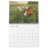 Calendrier Sheltie illustré (Mar 2027)