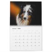 Calendrier Shetland Sheepdog 2025 (Jan 2026)