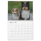 Calendrier Shetland Sheepdog 2025 (Feb 2027)