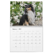 Calendrier Shetland Sheepdog 2025 (Feb 2027)