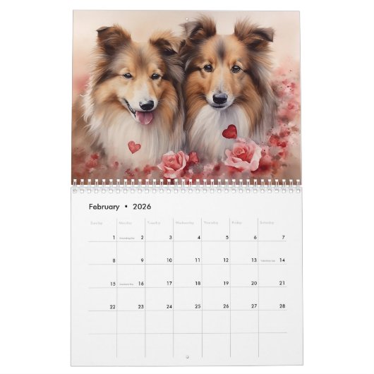 Calendrier Shetland Sheepdog, chaque année (Feb 2026)