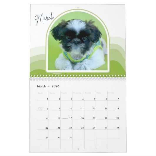 Calendrier Shih-Tzu Puppies Photo Collage Calendar (Mar 2026)