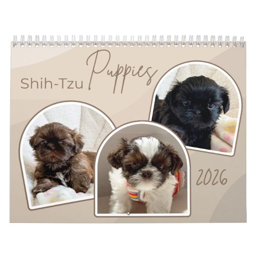 Calendrier Shih-Tzu Puppies Photo Collage Calendar (Protection)