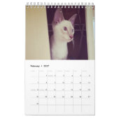 Calendrier Siamese Cats Calendar (Feb 2027)