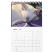 Calendrier Siamese Cats Calendar (Jan 2027)