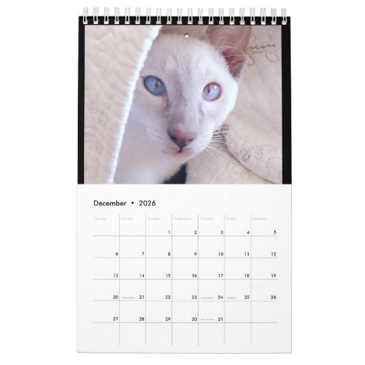 Calendrier Siamese Cats Calendar (Dec 2026)