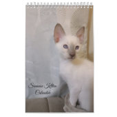 Calendrier Siamese Cats Calendar (Protection)