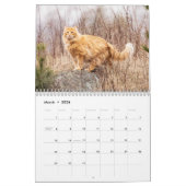 Calendrier Siamese Kitty Cat Cute 2021 (Mar 2026)