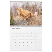 Calendrier Siamese Kitty Cat Cute 2021 (Mar 2027)