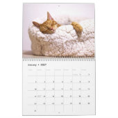 Calendrier Siamese Kitty Cat Cute 2021 (Jan 2027)