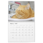 Calendrier Siamese Kitty Cat Cute 2021 (Feb 2027)