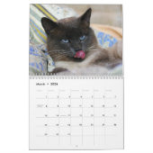Calendrier Siamese Kitty Cat Cute 2021 (Mar 2026)